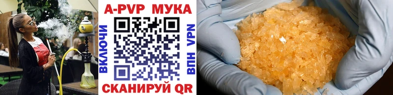 Alfa_PVP СК  Череповец 