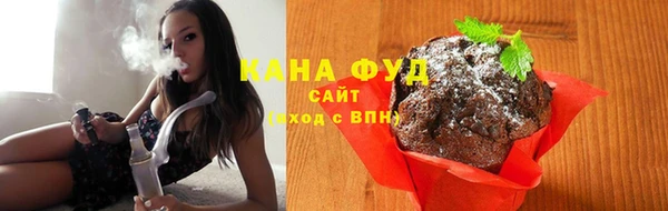 спиды Богородицк