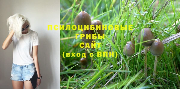 спиды Богородицк