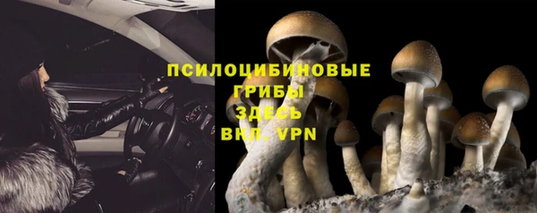 спиды Богородицк