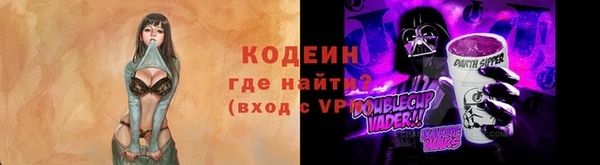 спиды Богородицк