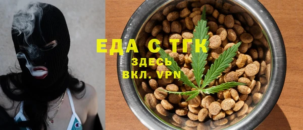 спиды Богородицк
